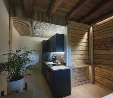 Muurame Apartment | Pieni asunto maalla navettarakennuksessa.