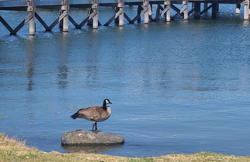 North Lakeport House | PIER 43! BOATDOCK>14 GUESTS>HOT-TUB