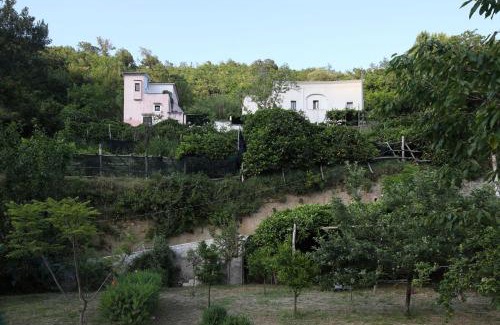 Pucara Bed & Breakfast | Pietra Rosa