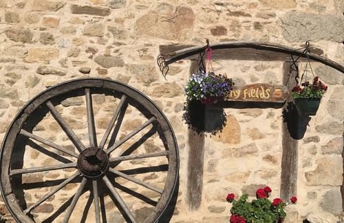 Ladignac le Long Cottage | piglets porcherie rustic gite