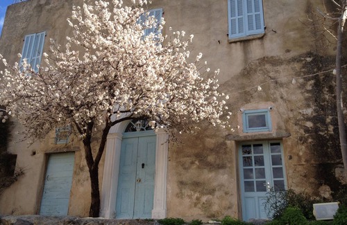 Pigna House | Pigna: Charming village house, 5 km from the sea, vaulted and whitewashed