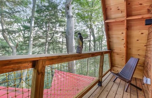 Rockbridge House | Pikachu's Palace Treehouse