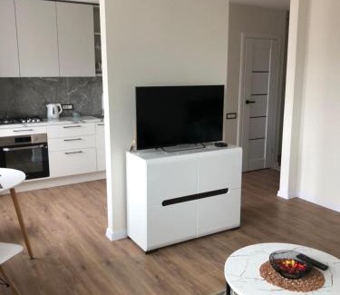 Panevezys Apartment | Pilėnų apartamentai