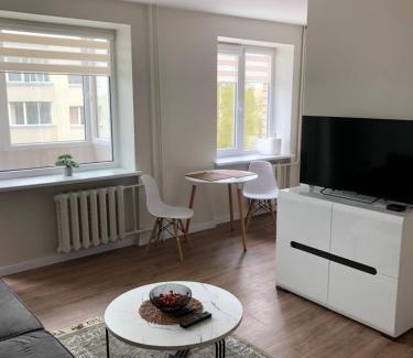 Panevezys Apartment | Pilėnų apartamentai