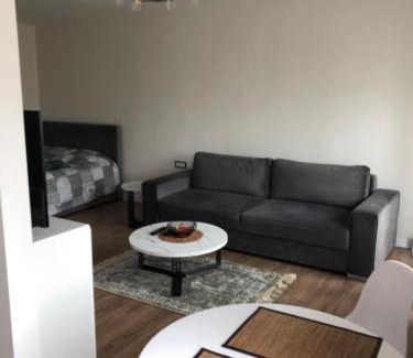 Panevezys Apartment | Pilėnų apartamentai