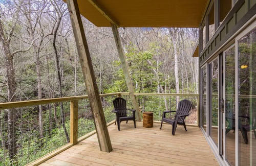 Pisgah Forest Cabin | PILOT COVE 1 BR Cabin - Modern Luxury w/Nature!