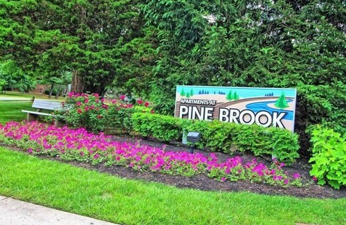 Newark Apartment | Pine Brook Apartments: Luxurious living in a stunning wooded setting