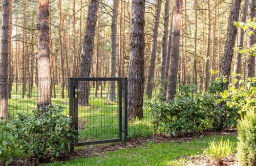 Palanga Apartment | Pine Forest Escape at Vanagupes Parkas
