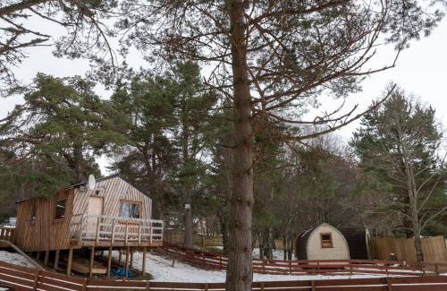 Glenmore Ski Chalet | Pine Marten Bar Glenmore Treehouse