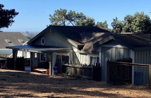 Bodega Bay House | PINE VIEW BUNGALOW - OCEAN VIEW BUNGALOW IN THE PINES AT BODEGA BAY