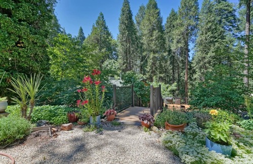 Apple Hill House | Pine View Paradise, beautiful and private, near Apple Hill Orchards and Wineries