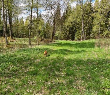 Ulricehamn Municipality Apartment | Pinebo Palace Guesthouse