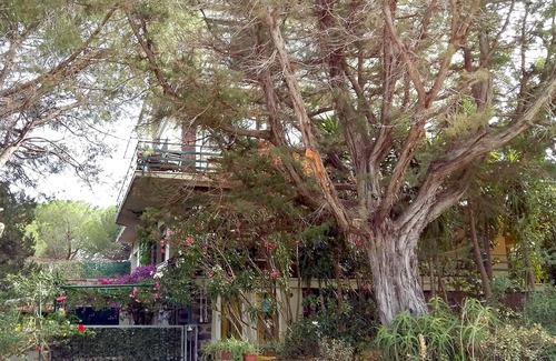 Cala Gonone Apartment | Pini apartment with large courtyard facing a beautiful pine forest