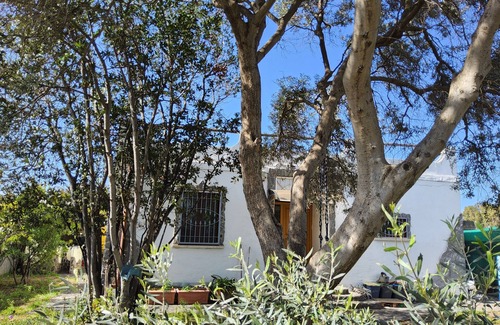 Province of Cagliari Villa | Pink Flamingo's Oasis