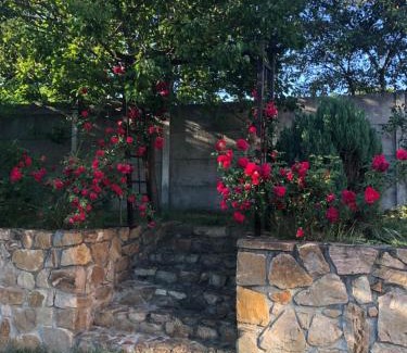 Giarmata Villa | Pink Garden Events Advance Notice Required