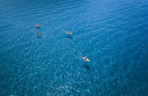 Agios Gordios Hotel | Pink Palace Beach Resort