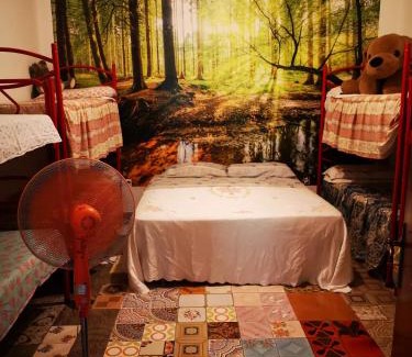 Oliena House | Pinnettu sardo casa di campagna in ecosistema insetti e animaletti simpatici in condivisione,Leggere attentamente Prima di prenotare