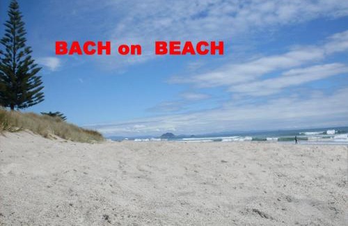 Papamoa Beach House | Pipi Palace