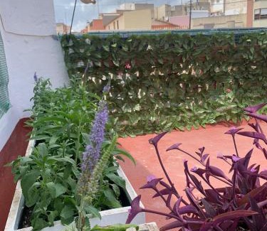 Onda House | Plaça de l'Almudí, where else!