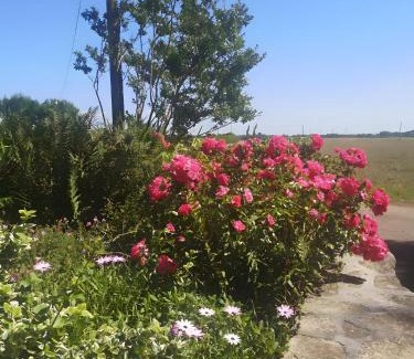Mahalon House | Plain-pied En Rez-de-jardin