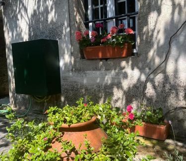 Pinhel House | Planalto Dourado
