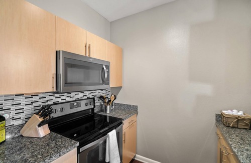 Legacy Park Apartment | Plano | Luxurious 1BD/1BA Apartment