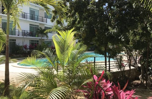 Puerto Juarez Apartment | PLAYA SUITES I POOL VIEW