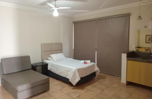 Centro Hotel | Plaza Inn Flat Araxá
