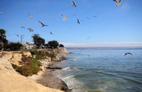Opal Cliffs House | Pleasure Point Retreat