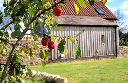 Witton-le-Wear House | Plum Tree Cottage