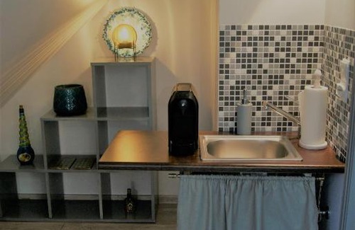 Monki Apartment | poddasze wilka