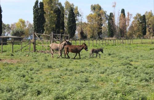 Tarquinia House | Podere Del Gesso