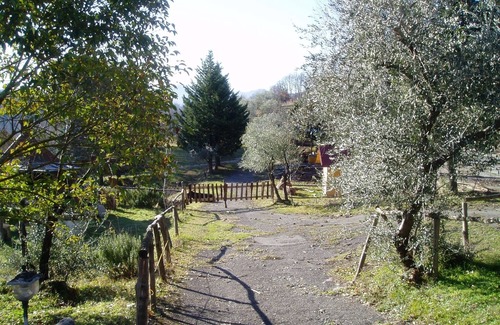 Gassano Apartment | Podere La Piana - Olivo apartment