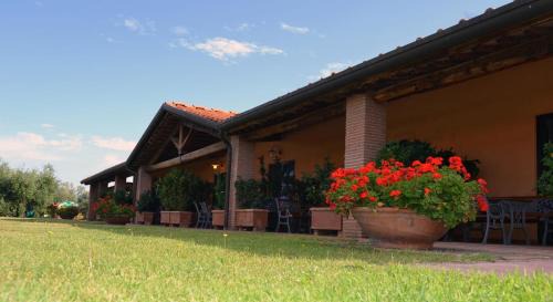 San Vincenzo Apartment | Podere San Giuseppe