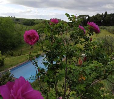 Tavarnelle Val di Pesa Apartment | Poderi in Chianti
