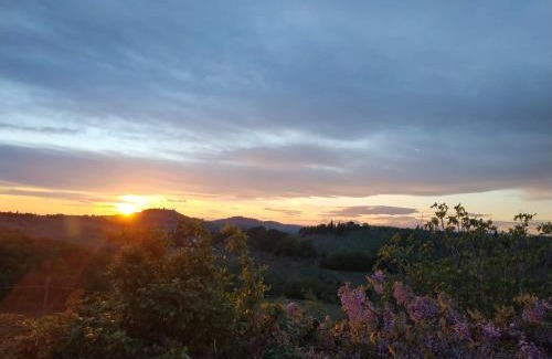 Tavarnelle Val di Pesa Apartment | Poderi in Chianti