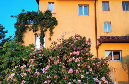 Tavarnelle Val di Pesa Apartment | Poderi in Chianti