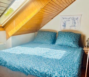 Pacejov Apartment | Podkroví v pošumavské chalupě