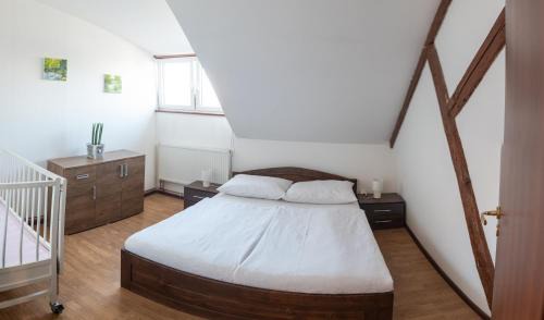 Lomnice nad Luznici Apartment | Podkrovní apartmán s výhledem na náměstí