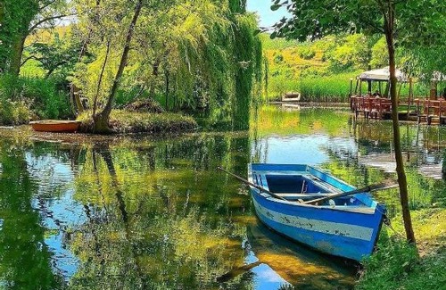 Pogradec Apartment | Pogradeci Guest house