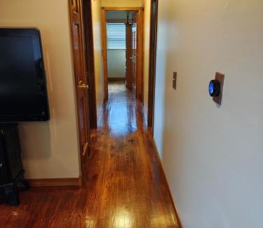 South Point House | Pointer Palace