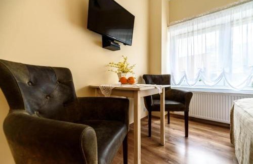 Duszniki Zdroj Apartment | Pokój Lidia