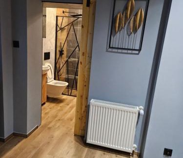 Mieroszow Apartment | Pokój Sewi 1