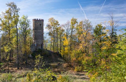 Bukowiec Bed & Breakfast | Pokoje Bukowiec Folwark i Park