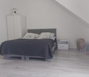 Stare Sady House | Pokoje i apartamenty MatDar