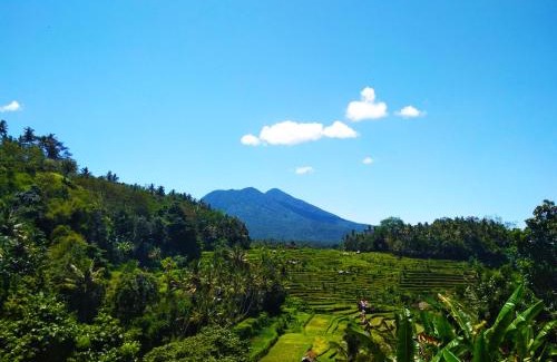 Ababi House | Pondok Batur Indah Homestay Karangasem