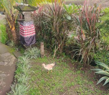 Sukasada House | Pondok Pengaringan Loon