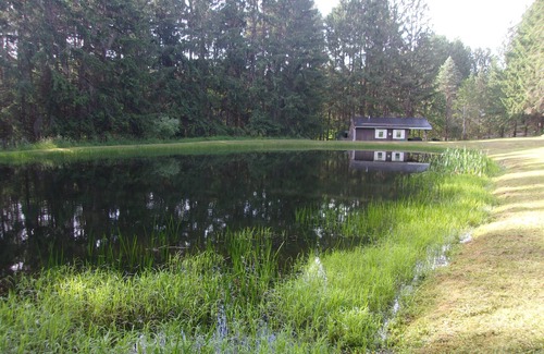 Hornell Cabin | Pondside Hideaway