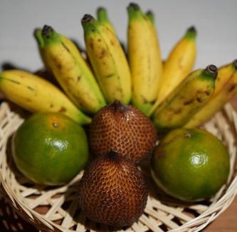 Nyambu Bed & Breakfast | Pool and Garden View Family Room in Kaba-Kaba