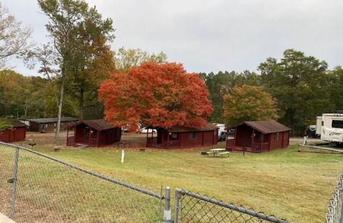 Salisbury Cabin | Poolside Rustic Cabin with Amazing Views-Cabin 5